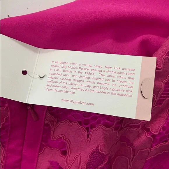 Lilly Pulitzer Bright Pink Lace Mini Dress - Picture 11 of 14